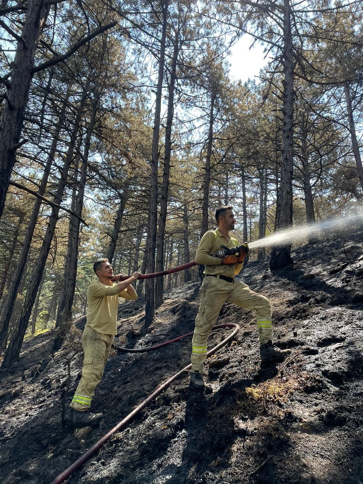 Karabük’te Orman Yangını: 12 Hektar Alan Zarar Gördü