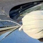 otomobillere-kursun-gecirmez-yelek-giydirmeye-basladilar-eTvcE4sa