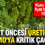 Hasat oncesi ureticiden tmoya kritik cagri kuru uzumde fiyat beklentisi 150 lira uOBa91C2
