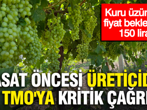 Hasat oncesi ureticiden tmoya kritik cagri kuru uzumde fiyat beklentisi 150 lira uOBa91C2