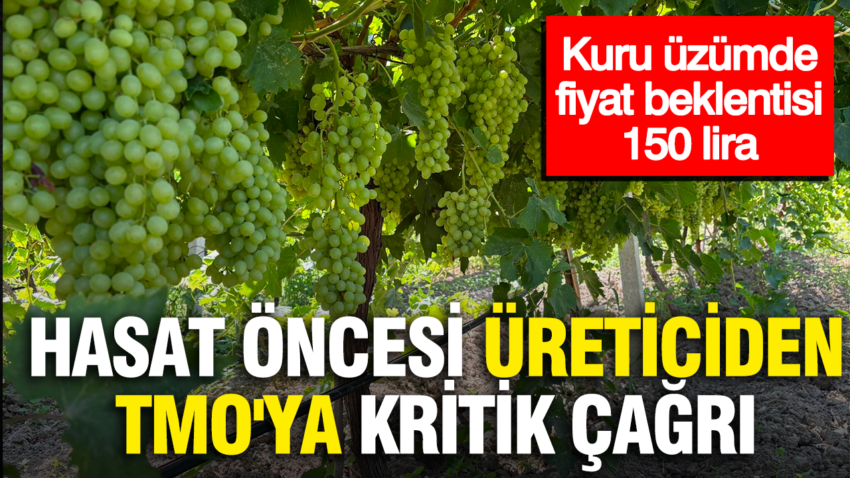 Hasat oncesi ureticiden tmoya kritik cagri kuru uzumde fiyat beklentisi 150 lira uOBa91C2
