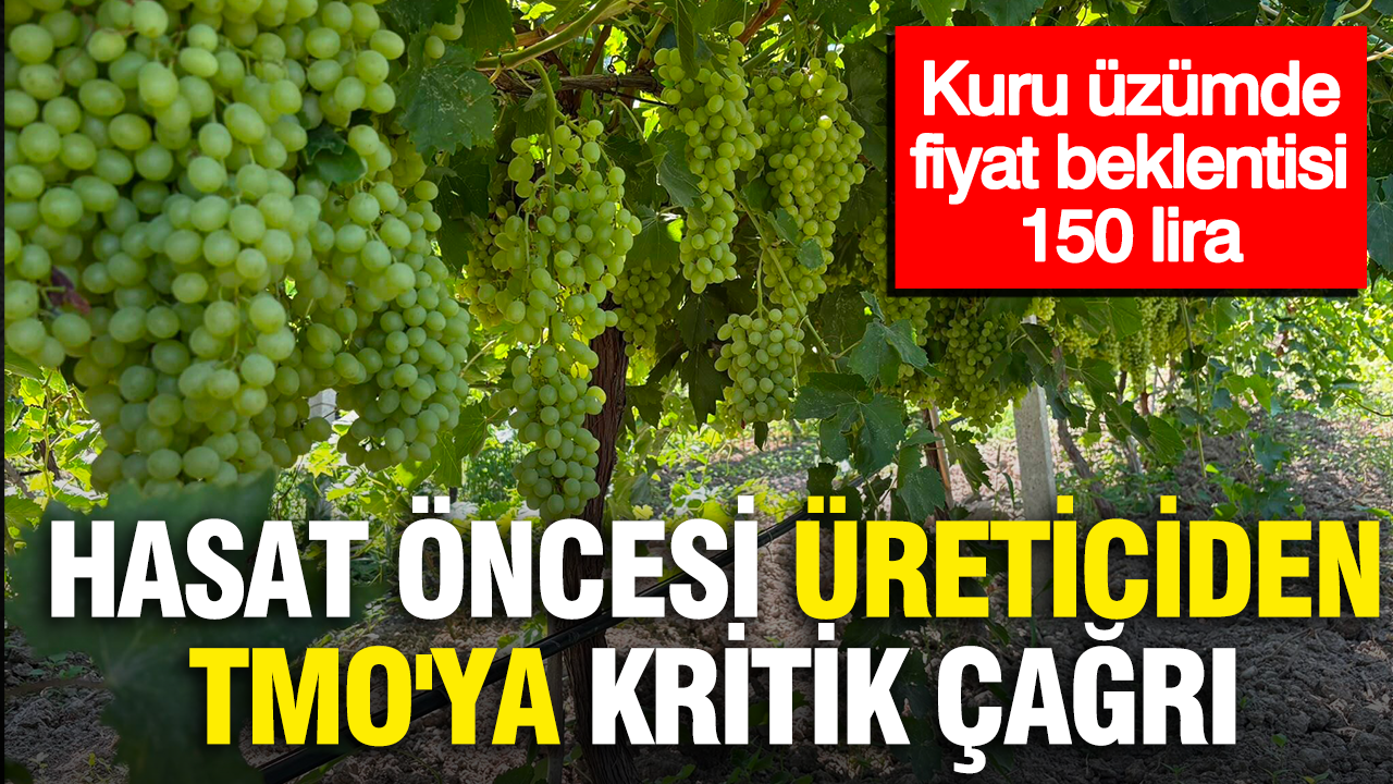 Hasat oncesi ureticiden tmoya kritik cagri kuru uzumde fiyat beklentisi 150 lira uOBa91C2